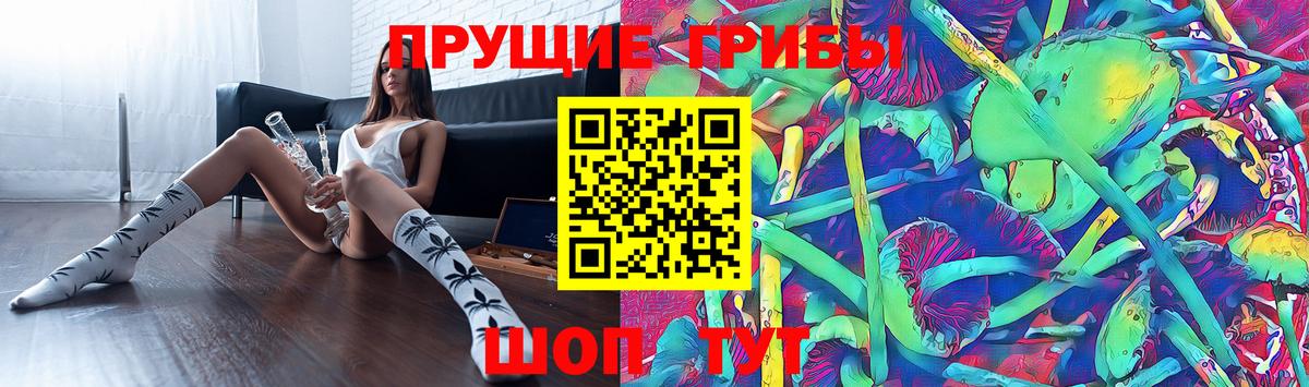 Ипатово  Галлюциногенные грибы MAGIC MUSHROOMS  Вход с VPN 
